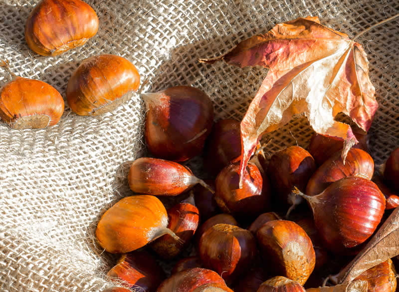 Castagne marroni di caprese